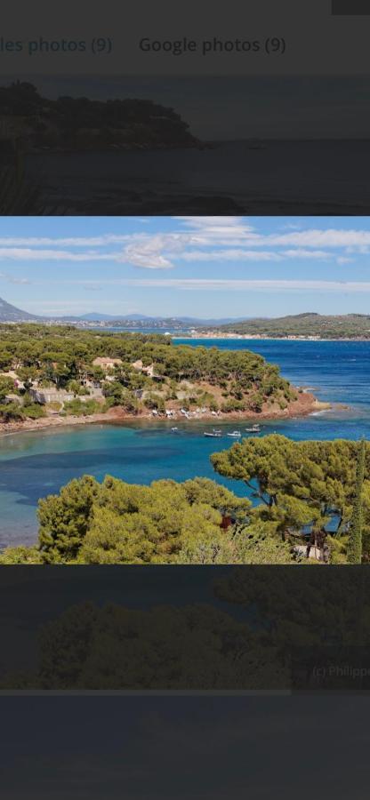Charmant Studio Dans Villa - Jardin Privatif . La Seyne-sur-Mer Esterno foto
